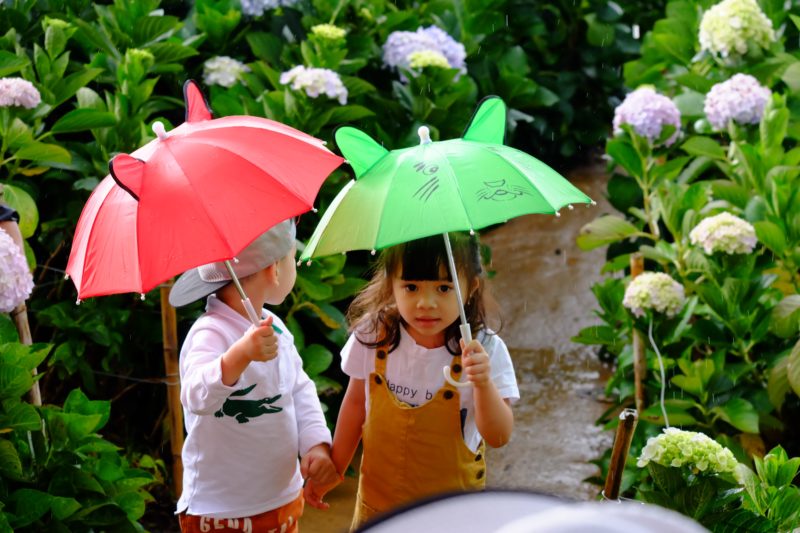 ダラットの雨季について（Photo by Apaha Spi on Unsplash）